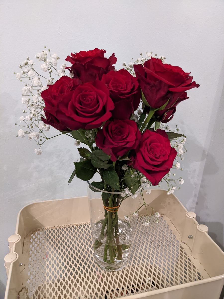 Single-colour roses in vase